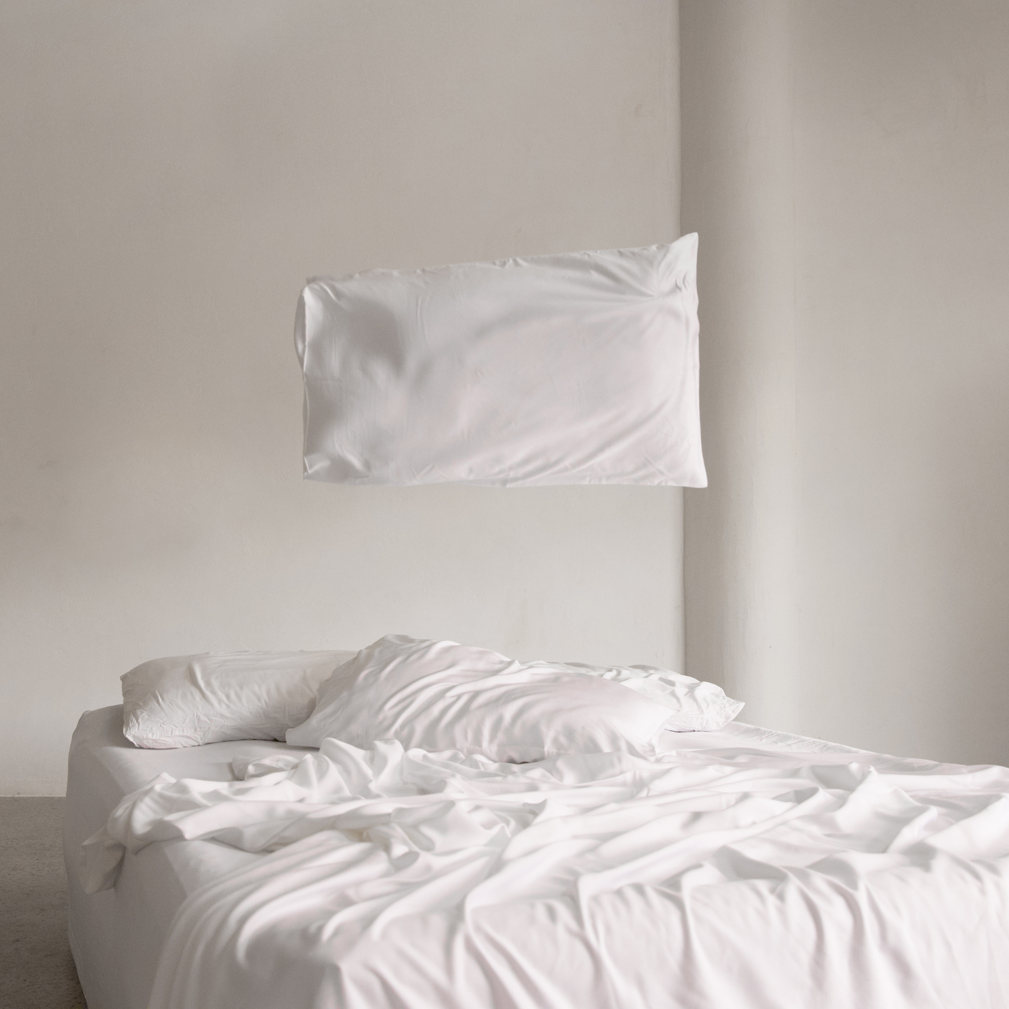 Blanc Pillow Case Pair